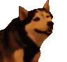 DogSneeze