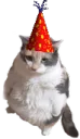 josebirthday