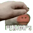 petSky