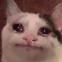 9479sadcat Discord Emoji