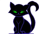 blackcat