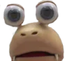 bulborbstare