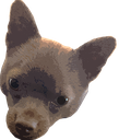 teddy Discord emoji