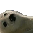 sealGM