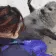 sealHug