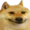 dogesmile