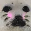 sealBlush sealBlush