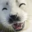 sealAYAYA sealAYAYA