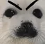 sealA sealA