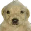 __ __