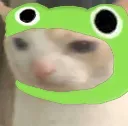 S_Gato_Wut