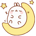 rbunnysleep
