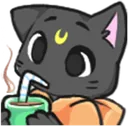 Sip Cat Discord Emoji