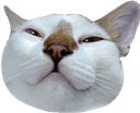 yulius Discord emoji