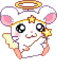 AngelHamster