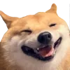 hehe