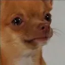 Sad Dog sad_dog Discord Emoji