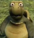 blankstare