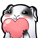 momolove