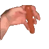 sausage