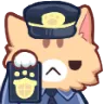 police police