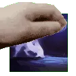PatTheJojoseis PatTheJojoseis