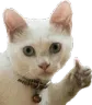 thumbo