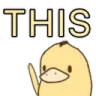 DuckThis DuckThis
