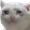 cats_cry