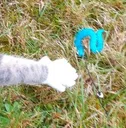 emoji_23