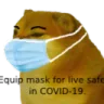 cheemsequipmaskforlivesafe