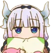 ch_kanna_pillow