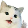 gunoGoo