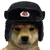vladimir vladimir