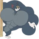 TOMSPORTIK