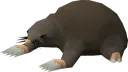 mole