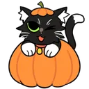 tofupumpkin