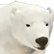 PolarBear PolarBear