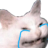 catcry Discord Emoji - FriendZone | Make Friends ⋅ Fun Chill Active Chat ⋅ VC Social Gaming ⋅ Memes ⋅ Nitro Emojis ⋅ Anime