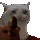 cat_gun Discord emoji