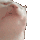 ca_thappy Discord emoji