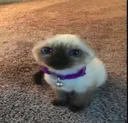 existential_dread existential_dread