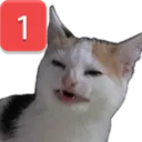 pingcat pingcat