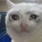 crying Discord Emoji