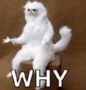 why Discord emoji