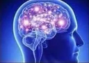 bigbrain