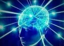 biggestbrain