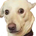 chien Discord emoji