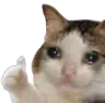 SadCatOk