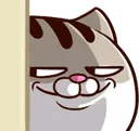 fatkitty_smirk fatkitty_smirk